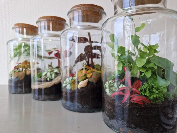 20220415_110813-1-scaled تراریوم - تصویر 3