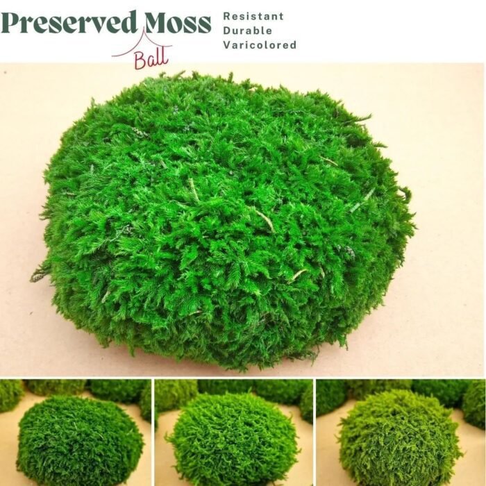 b Moss Bubbles - Image 2