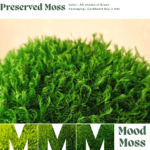Mood Moss