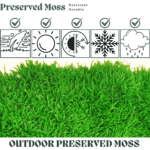 Outdoor Preserved Flat Moss