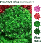 خزه باربولا